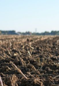 «Епіцентр Агро» продовжує досліджувати альтернативні методи ґрунтообробітку